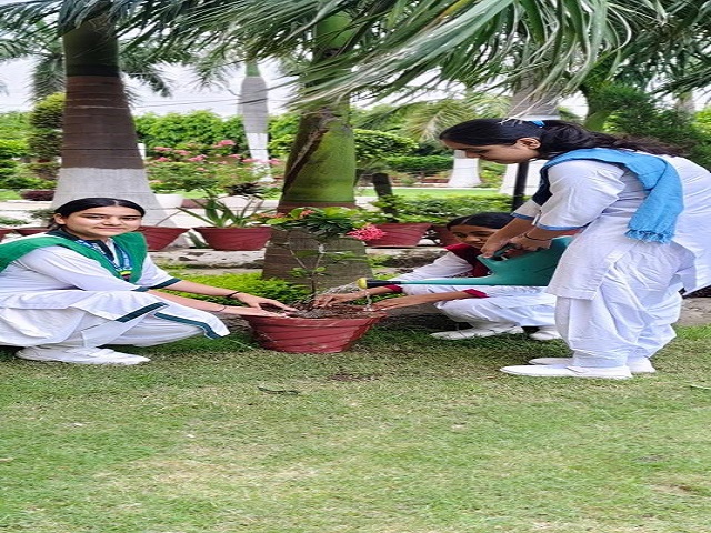 Sant Nischal Singh Public School, Ladwa